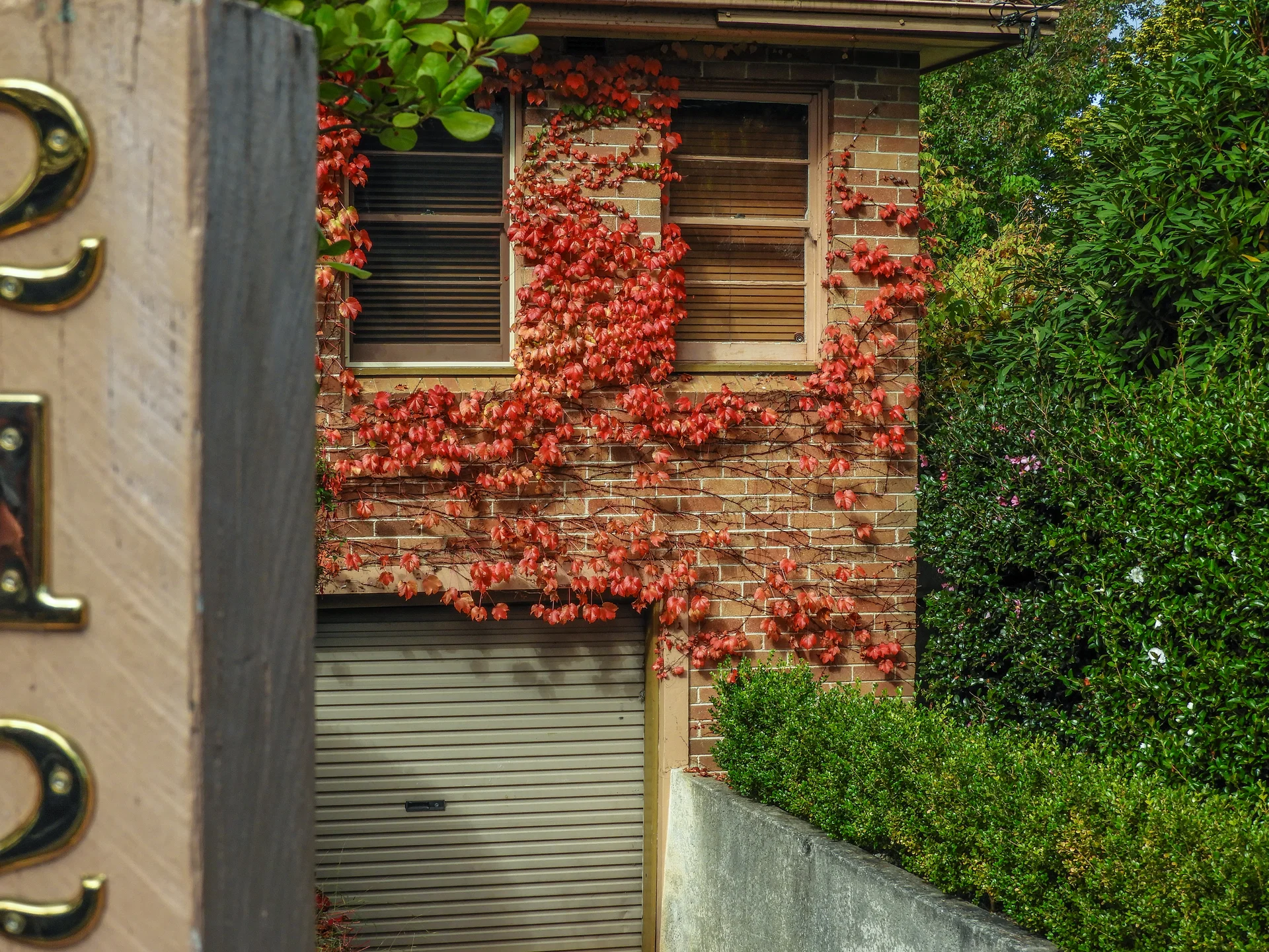 Photography Portfolio - Image 36